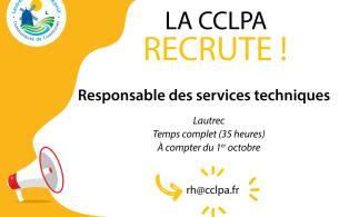 offres emploi