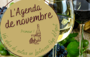 agenda novembre