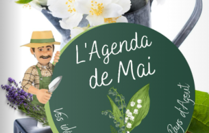 agenda mai