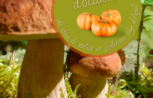 agenda octobre