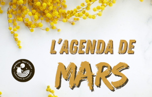 agenda mars 25