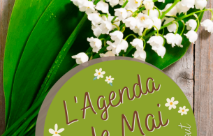 agenda mai