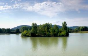 La biodiversité à l'honneur à Serviès