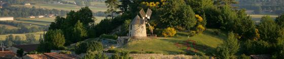 Partir à la découverte du Lautrécois - Pays d'Agout